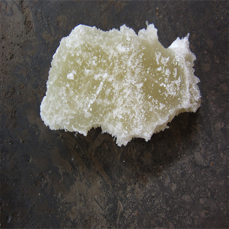 插逼情色视频网